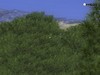 Indoor Golf Simulator screen Shot 12